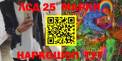 Альфа ПВП Гатчина