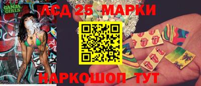 Альфа ПВП Гатчина
