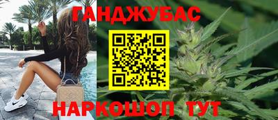 Альфа ПВП Гатчина
