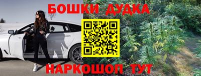 Альфа ПВП Гатчина