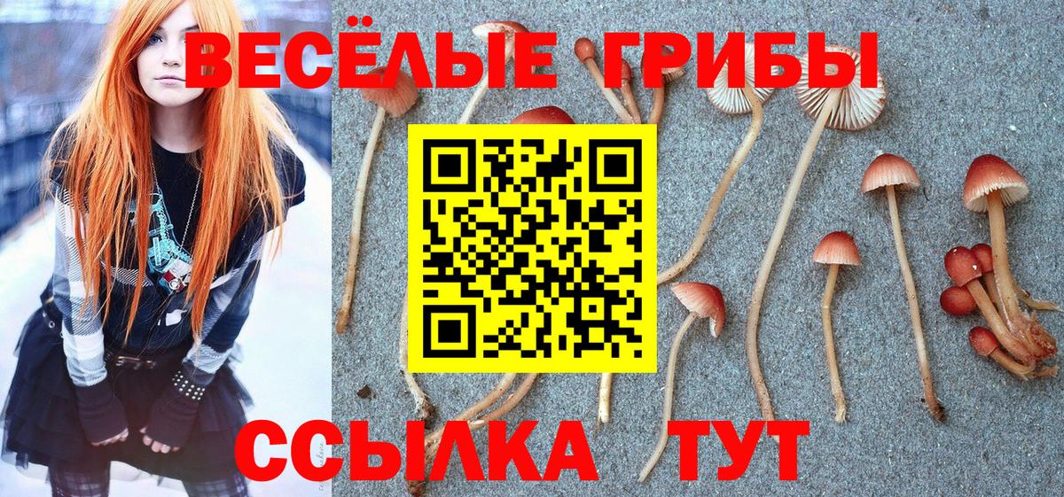 Красный Сулин  Псилоцибиновые грибы GOLDEN TEACHER  Псилоцибиновые грибы прущие грибы  Вход с VPN 