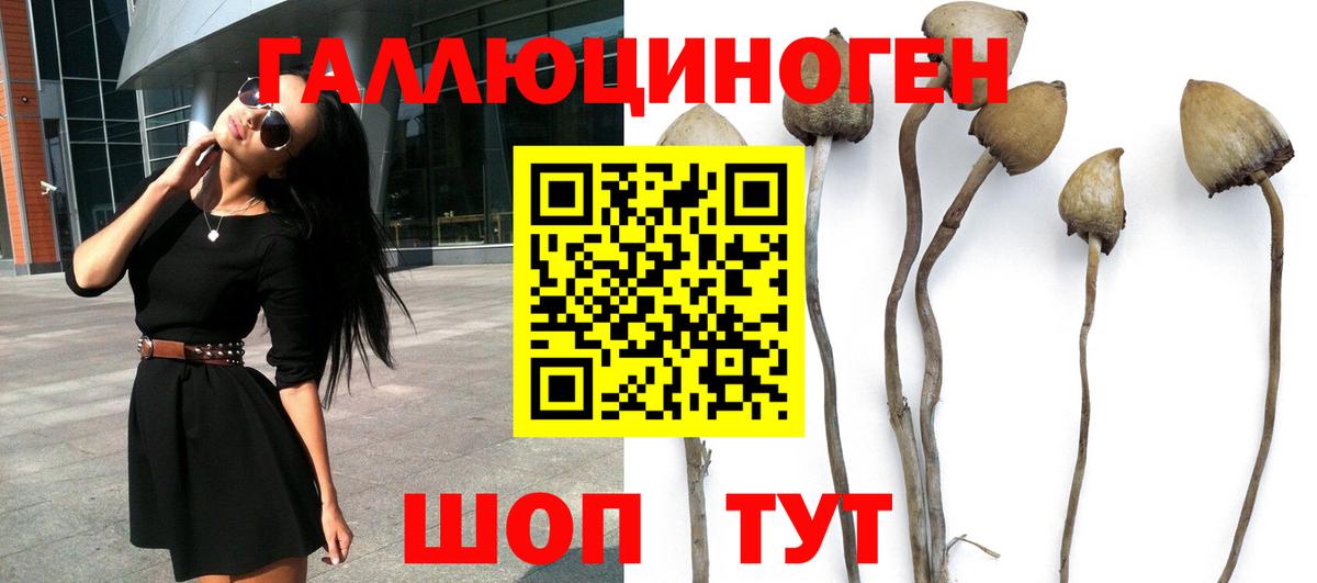 Галлюциногенные грибы ЛСД Красный Сулин